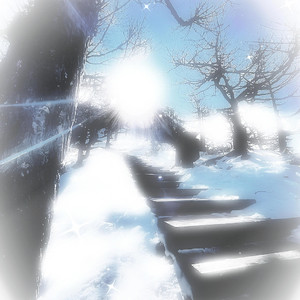 少妇喜欢我不戴套子
